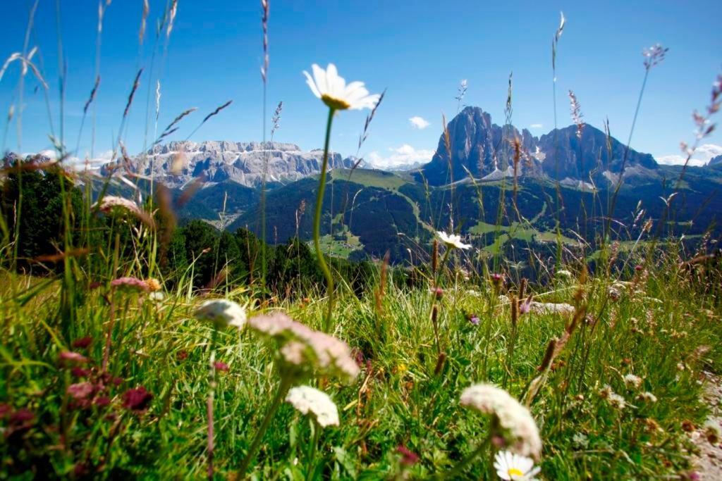 Garni Hotel Bel Vert Selva di Val Gardena Bagian luar foto